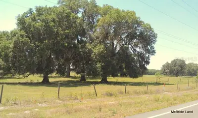 17001 Highway 484, FL