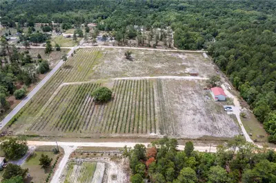 130 Strawberry Lane, FL