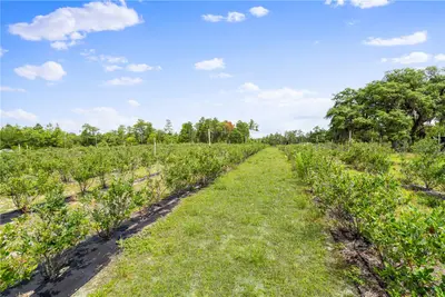 130 Strawberry Lane, FL
