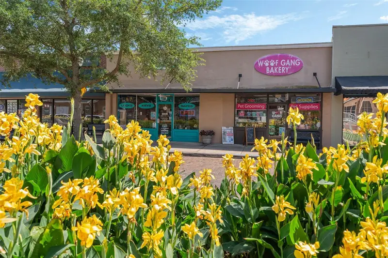 18 & 20 E Plant St, FL
