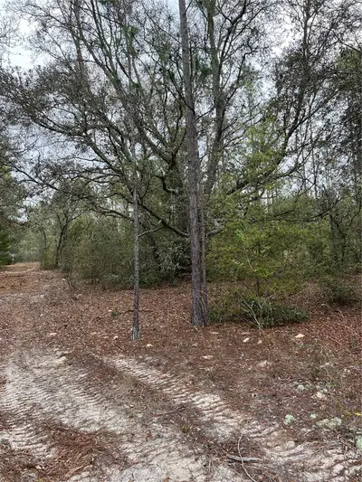 4625-4651 Kelly Park Road, FL