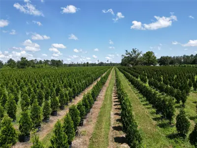 WHITE SPRINGS, FL