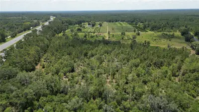 WHITE SPRINGS, FL