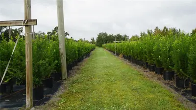 00 Douglas Road, FL