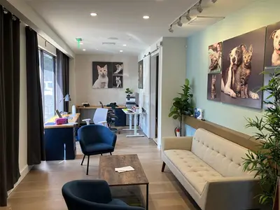 3105 Bay To Bay Boulevard, FL