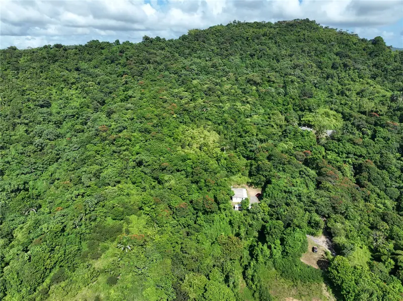 Pr 902 Camino Carlos Diaz, PR