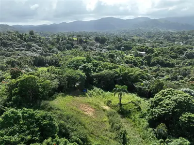 Pr 902 Camino Carlos Diaz, PR