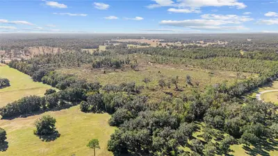 1 Petition, FL