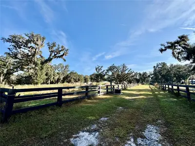 2909 Wilder Road, FL