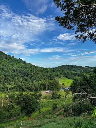 Carr 972 Mariana, PR