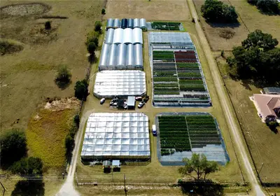 23010 Wolf Branch Road, FL