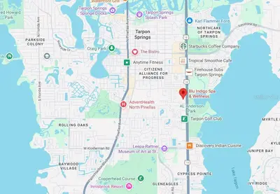 39920 Us Highway 19, FL