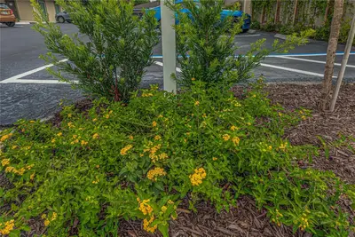 125 W Plymouth Ave, Ste. 121 Road, FL