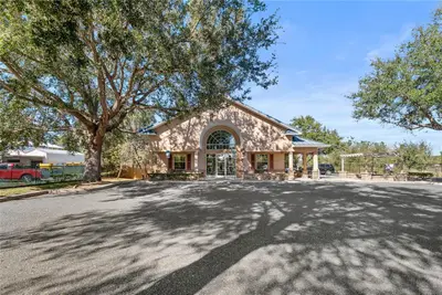 3300 Highway 19a, FL
