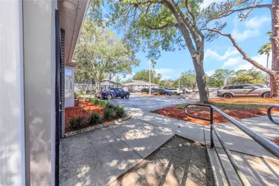 14517 Bruce B Downs Boulevard, FL