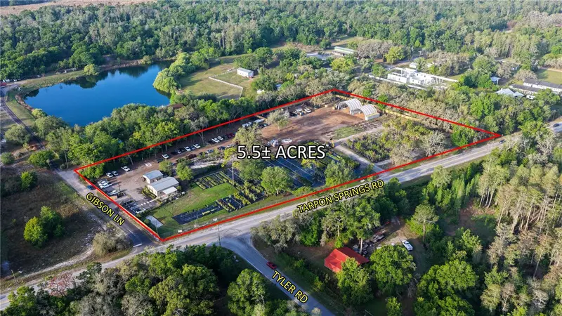 12980 Tarpon Springs Rd, FL