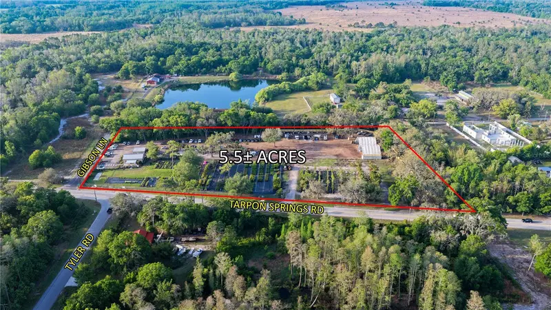12980 Tarpon Springs Rd, FL