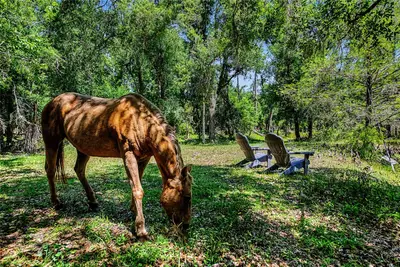 15750 Wilson Road, FL