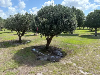 1238 Us 301, FL
