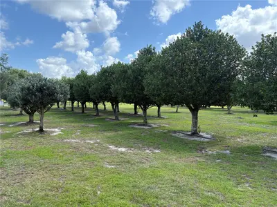 1238 Us 301, FL