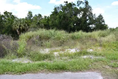 1485 Furnari Street, Cocoa, Fl 32922, FL